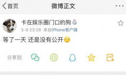 吃瓜爆料入口往期内容,回顾往期精彩内容，揭秘娱乐圈幕后故事